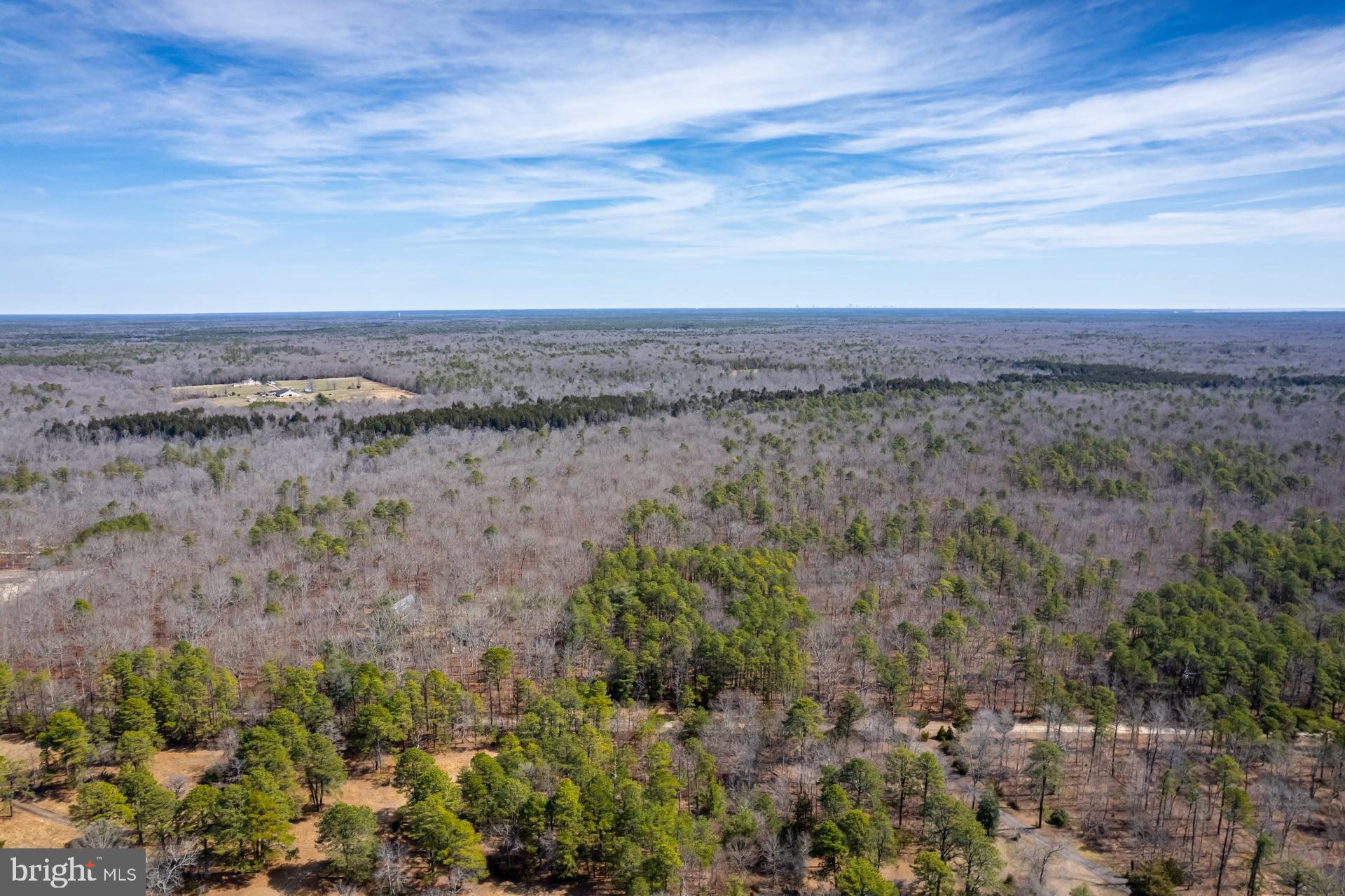 0 Townsend Avenue Milmay, NJ 08340 - Photo 3 of 11 a view of a lake in middle of forest