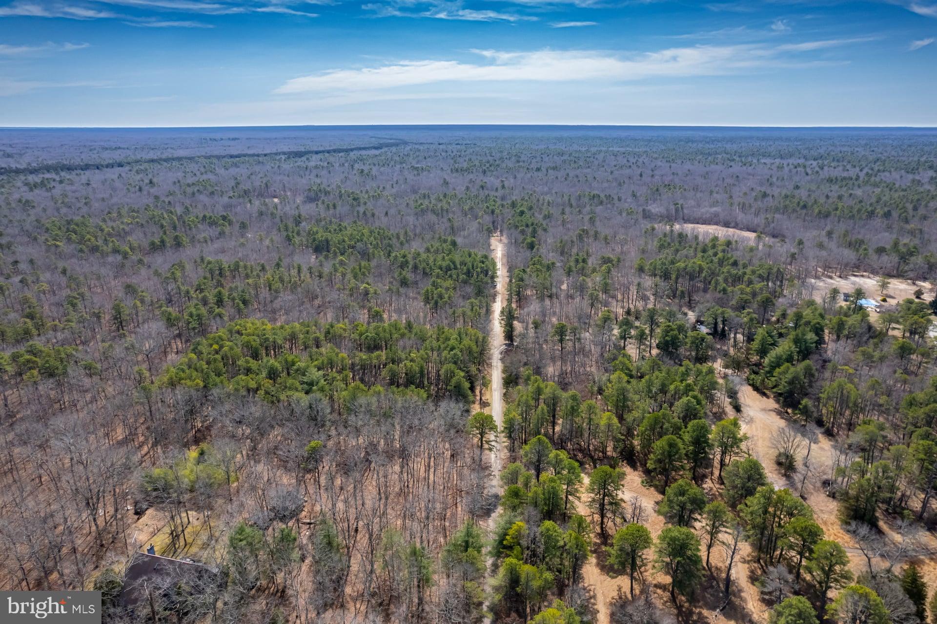 0 Townsend Avenue Milmay, NJ 08340 - Photo 8 of 11 a view of a yard with an outdoor space