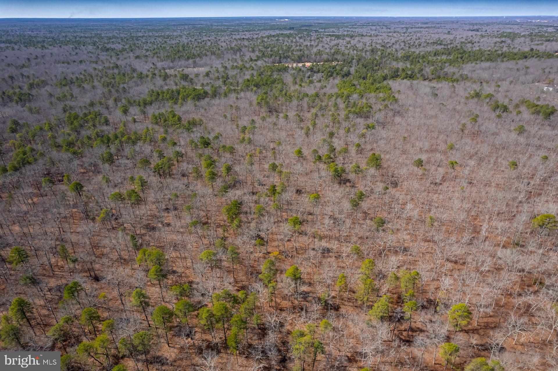 0 Townsend Avenue Milmay, NJ 08340 - Photo 10 of 11 a view of a dry field