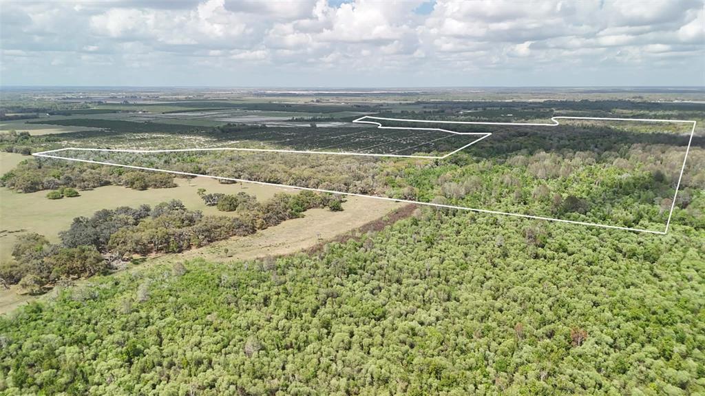Gillette Road Zolfo Springs, FL 33890 - Photo 17 of 86 Gallery Image 17