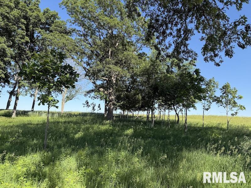 596 East 2250th Road Westfield, IL 62474 - Photo 22 of 61