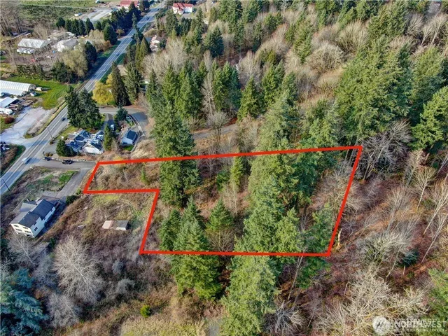 a view of a flower arrangement in a garden