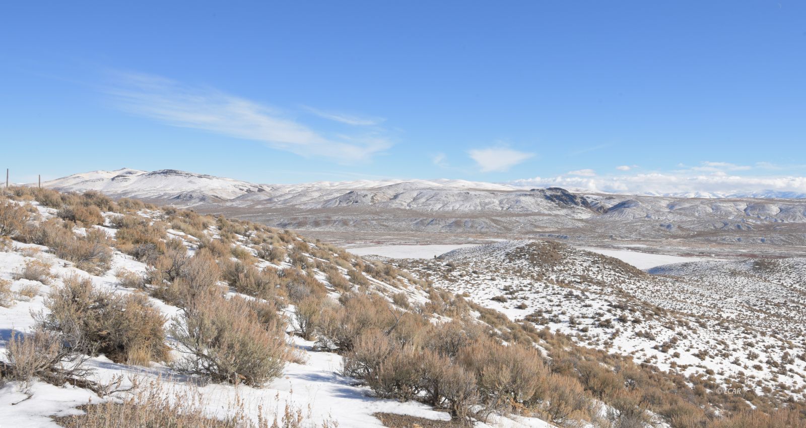 Cedar Street Elko, NV 89801 - Photo 3 of 14