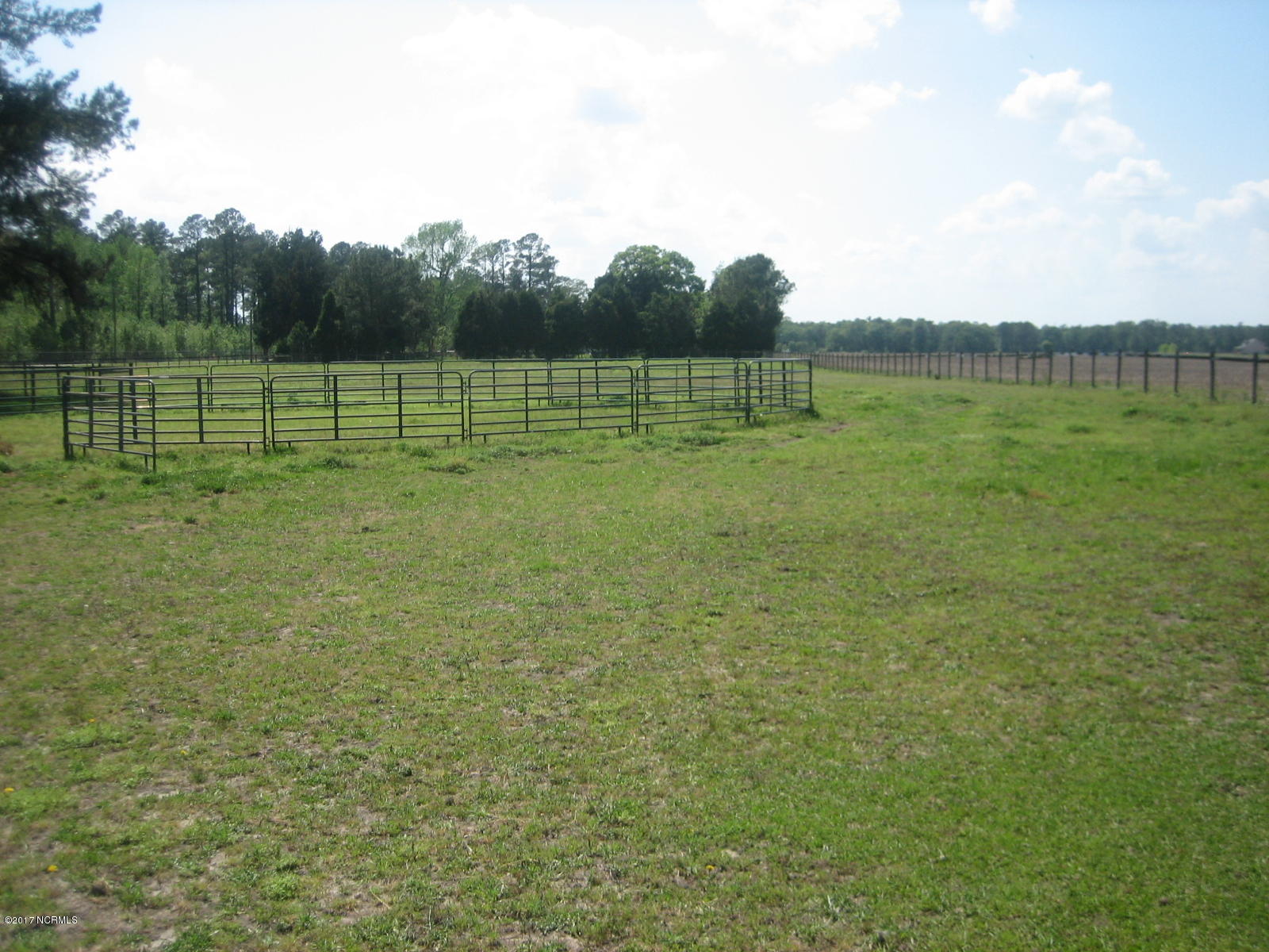 1094 Oak Grove Road Pollocksville, NC 28573 - Photo 30 of 32 Horse Pasteur