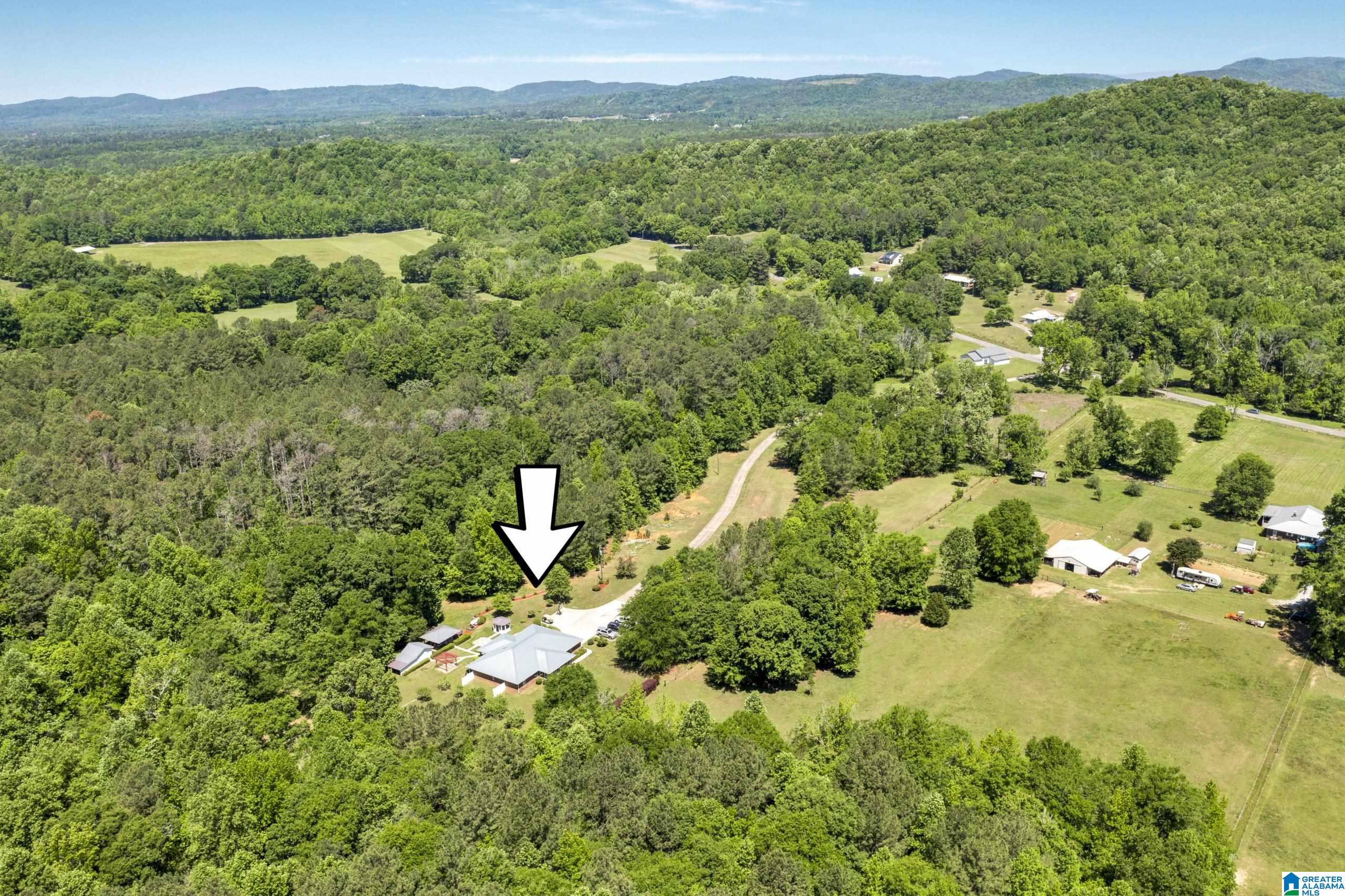 466 Seven Springs Road Wellington, AL 36279 - Photo 59 of 62