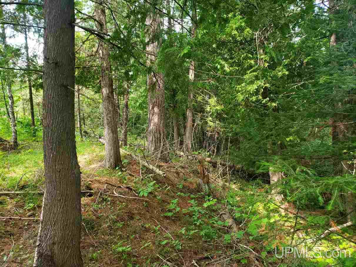 Tbd Tbd Leeman Road Felch, MI 49831 - Photo 1 of 8
