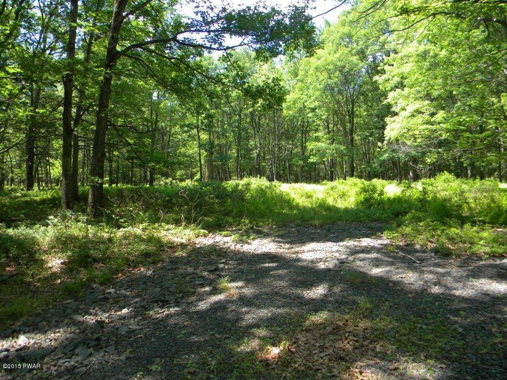 193 Deer Run Road Hawley, PA 18428 - Photo 14 of 17