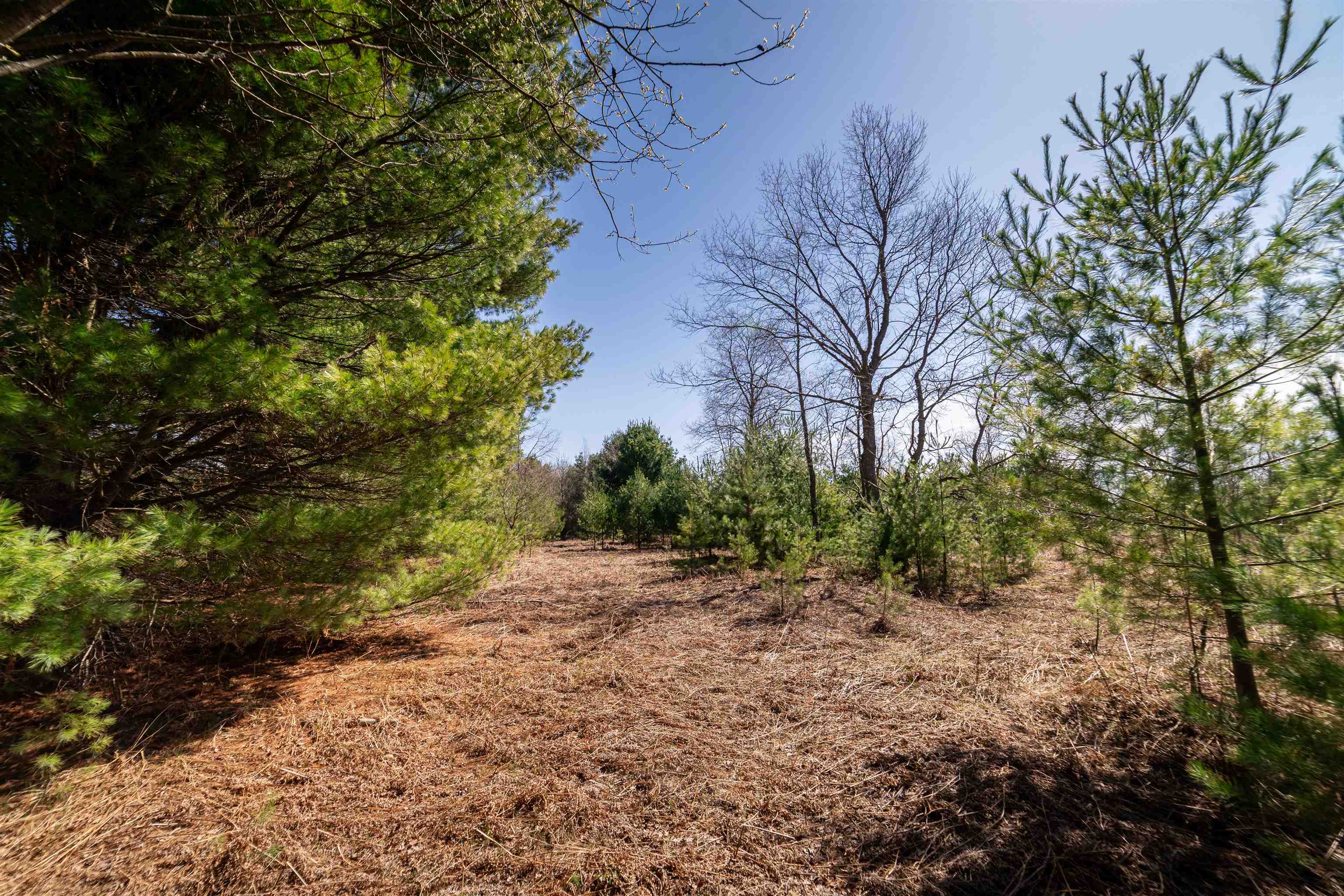 Hulkonen Road Kaleva, MI 49645 - Photo 5 of 19