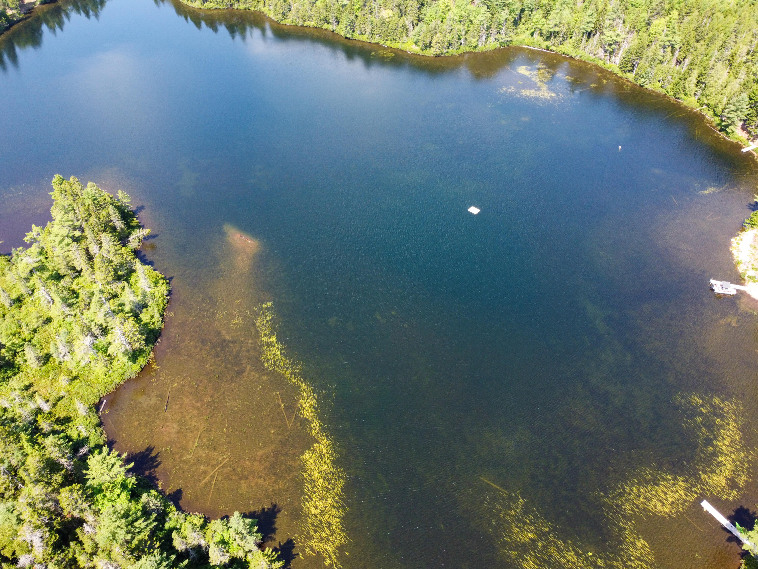 Lot 6 Goulding Lk Road Robbinston, ME 04671 - Photo 6 of 30 DJI_0857