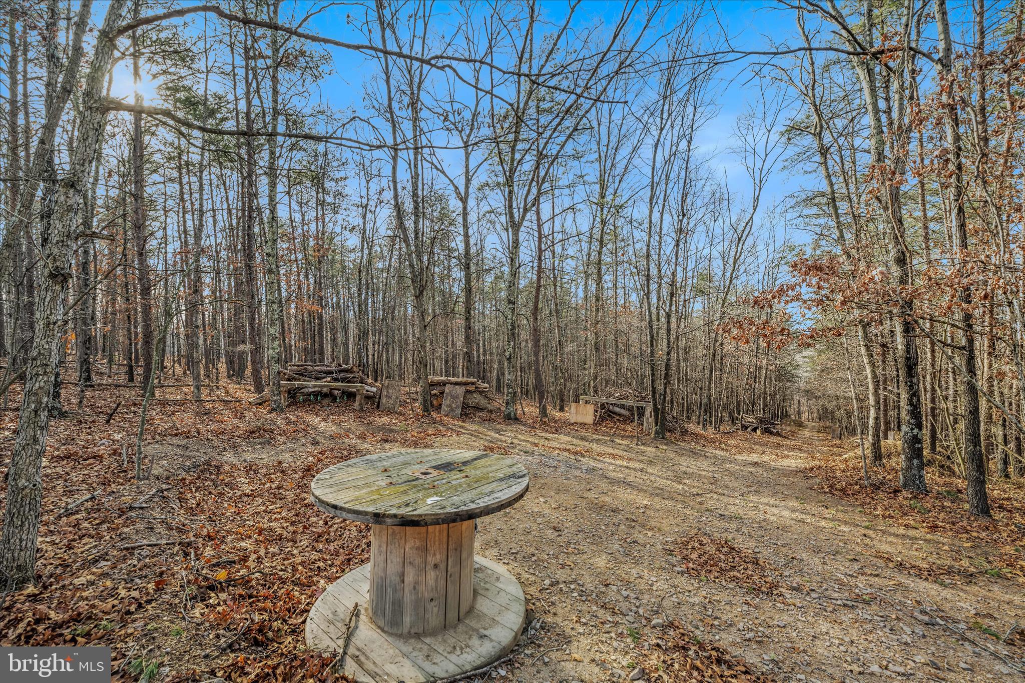 654 Soper Lane Berkeley Springs, WV 25411 - Photo 109 of 146 Backyard