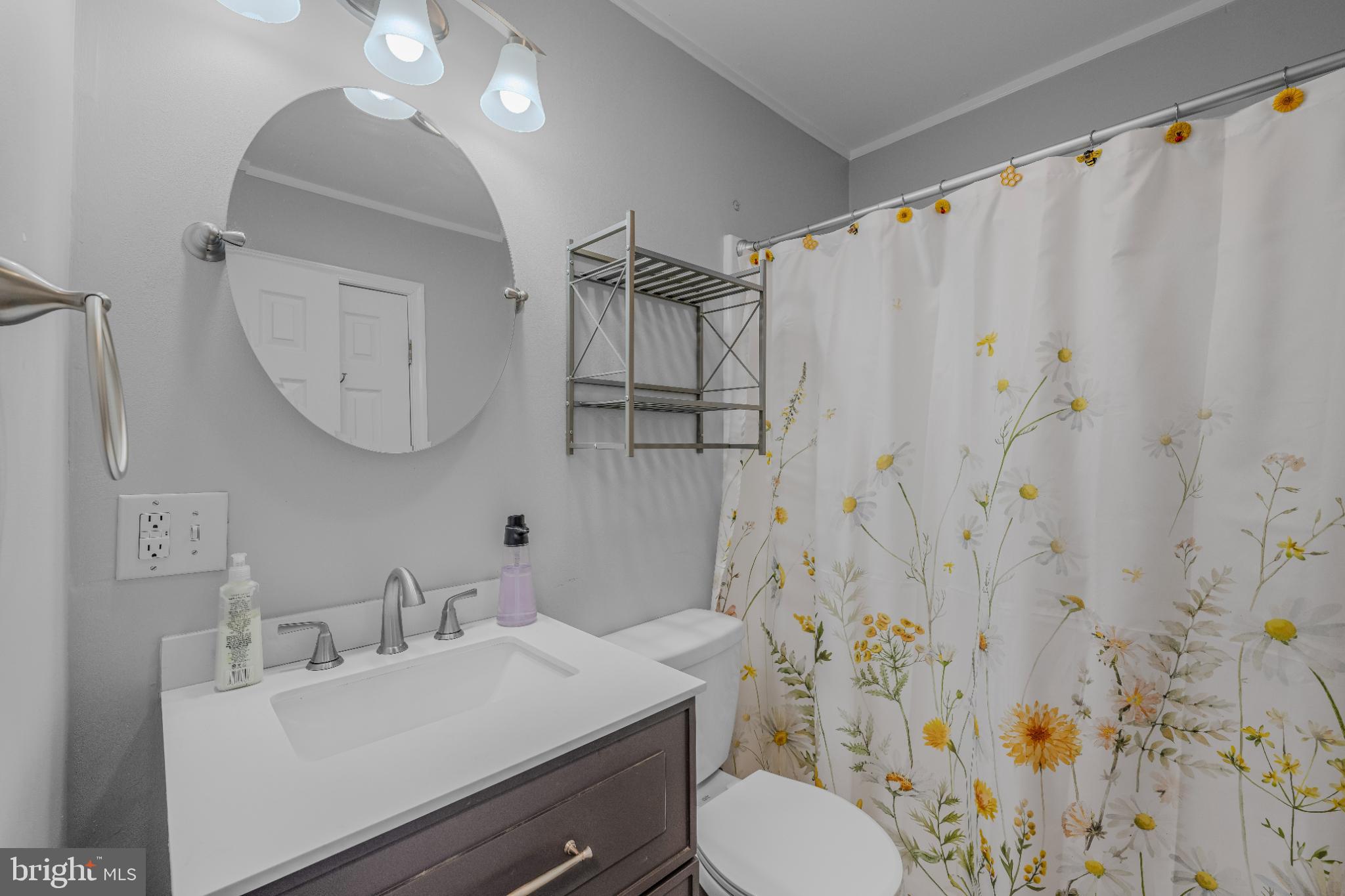 654 Soper Lane Berkeley Springs, WV 25411 - Photo 30 of 146 Charming bathroom with floral accents.