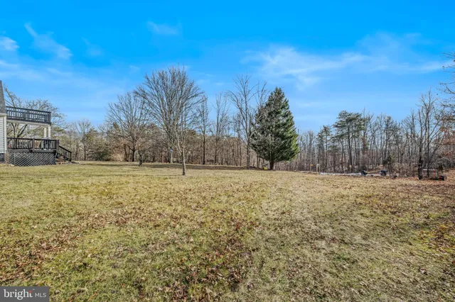 a view of a field with trees