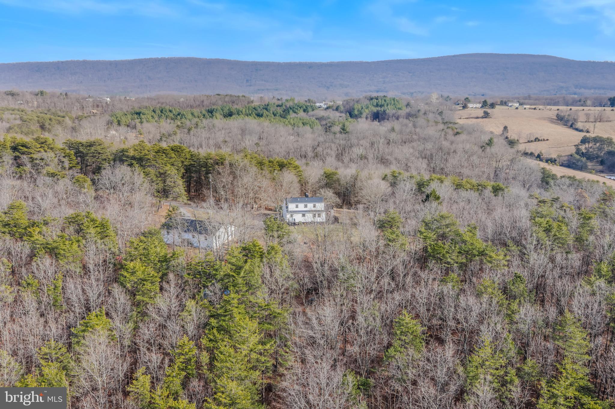 654 Soper Lane Berkeley Springs, WV 25411 - Photo 46 of 146 Secluded retreat amidst serene woodlands.