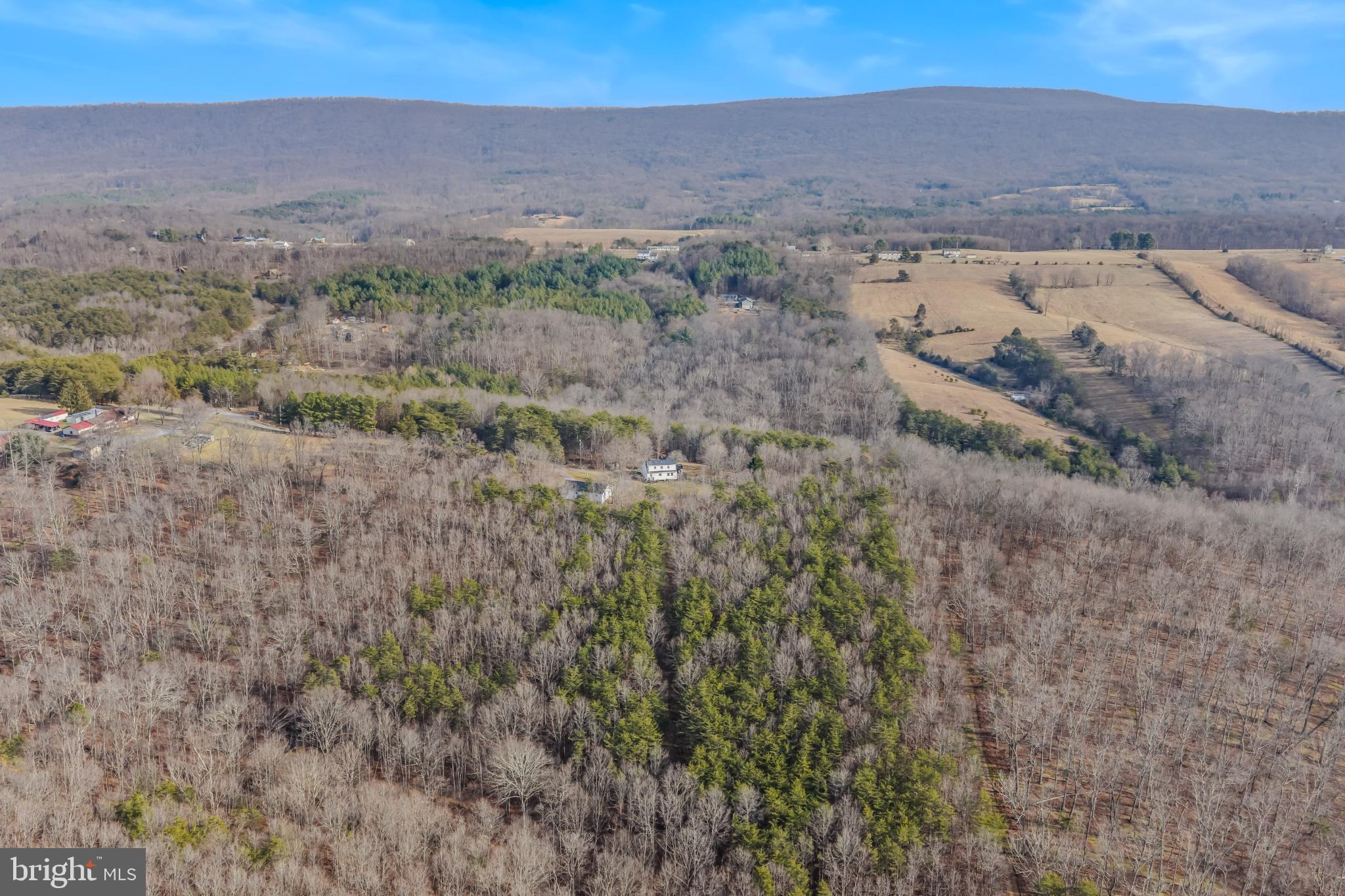 654 Soper Lane Berkeley Springs, WV 25411 - Photo 60 of 71 Secluded retreat amidst nature's embrace.