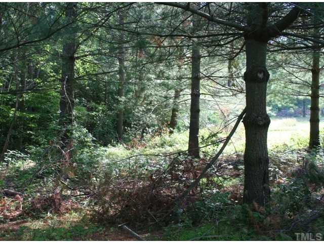 0 Mebane Oaks Road, Unit A Mebane, NC 27302 - Photo 2 of 12 Gallery Image 2