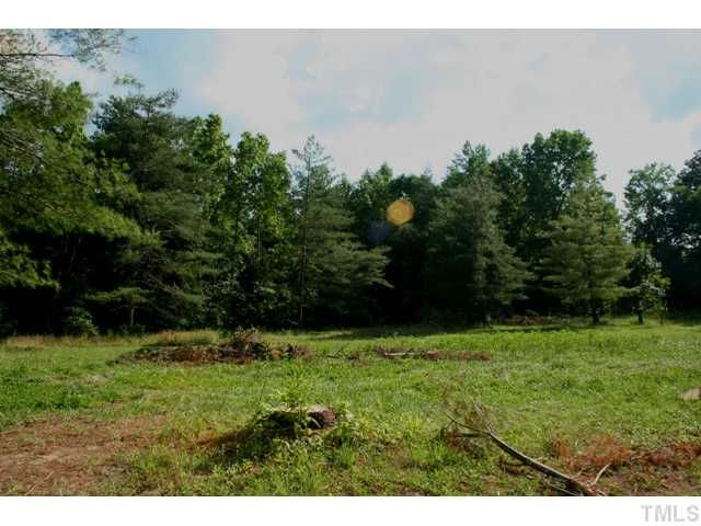 0 Mebane Oaks Road, Unit A Mebane, NC 27302 - Photo 3 of 12 Gallery Image 3