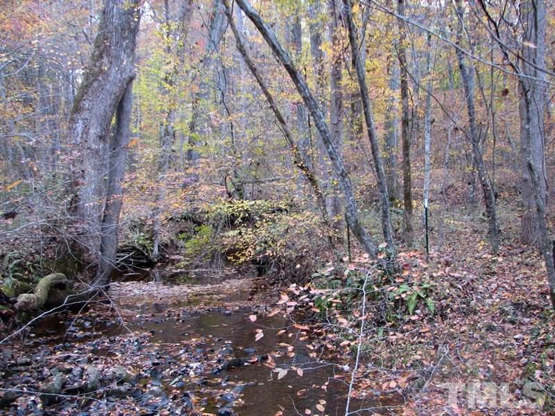 0 Mebane Oaks Road, Unit A Mebane, NC 27302 - Photo 5 of 12 Brook near the rear of the property