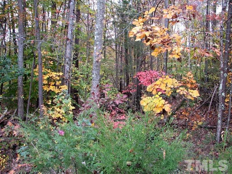 0 Mebane Oaks Road, Unit A Mebane, NC 27302 - Photo 7 of 12 Beautiful Fall Foilage
