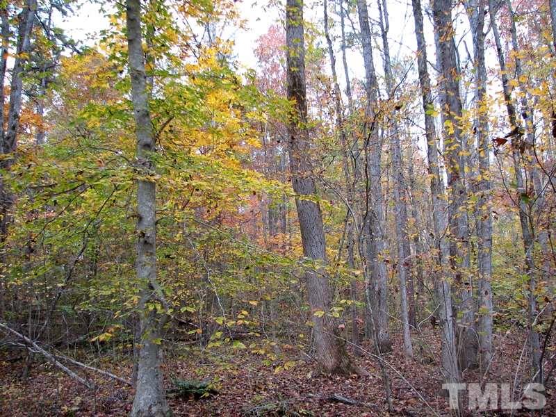 0 Mebane Oaks Road, Unit A Mebane, NC 27302 - Photo 9 of 12 Plenty of Buffer for Privacy