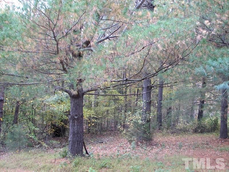 0 Mebane Oaks Road, Unit A Mebane, NC 27302 - Photo 10 of 12 Nice Evergreen Area