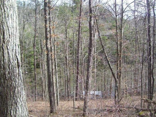 4 Cliffs Edge Road East Bernstadt, KY 40729 - Photo 3 of 12 1000