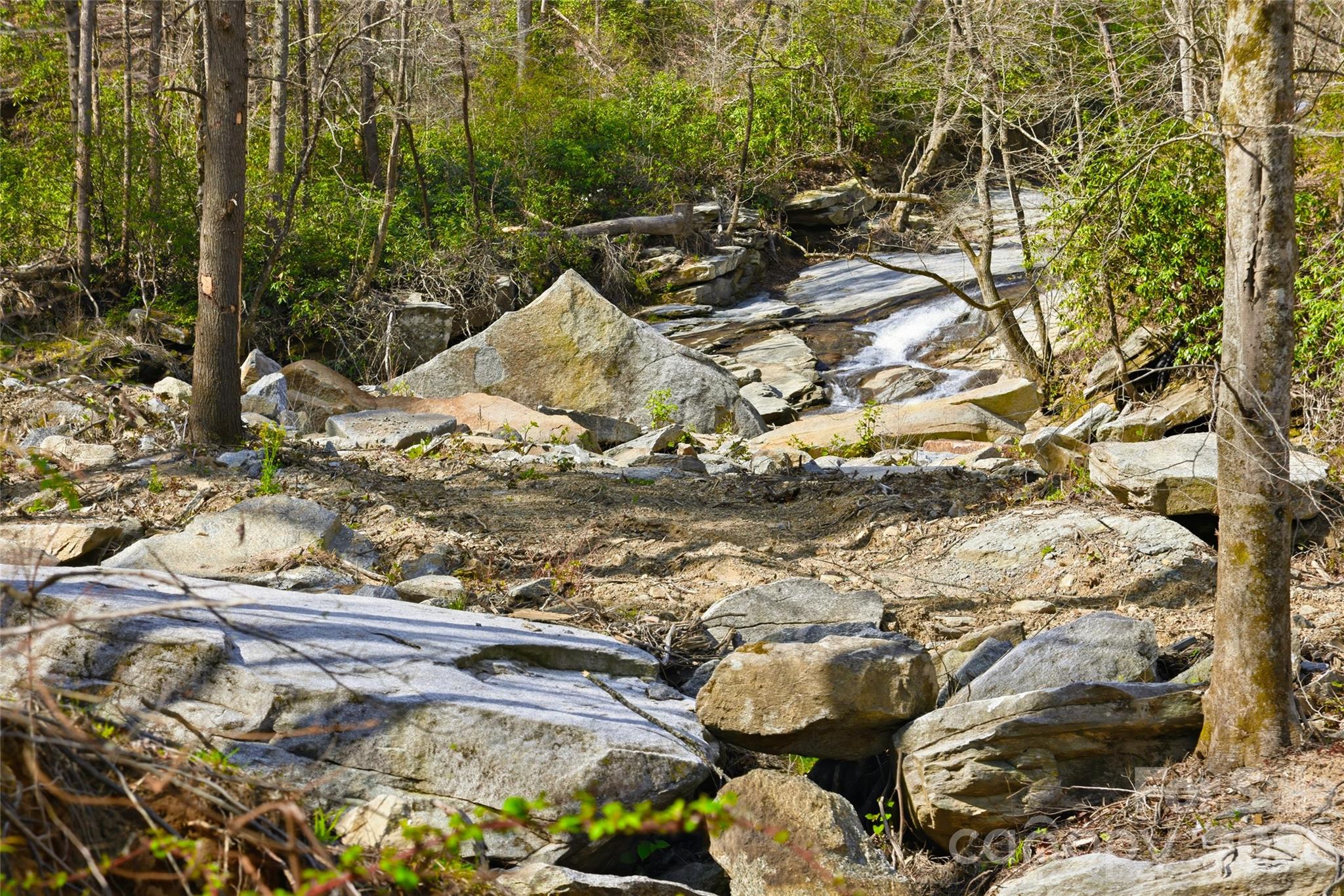 45 Alan Retreat Road Hendersonville, NC 28792 - Photo 6 of 37