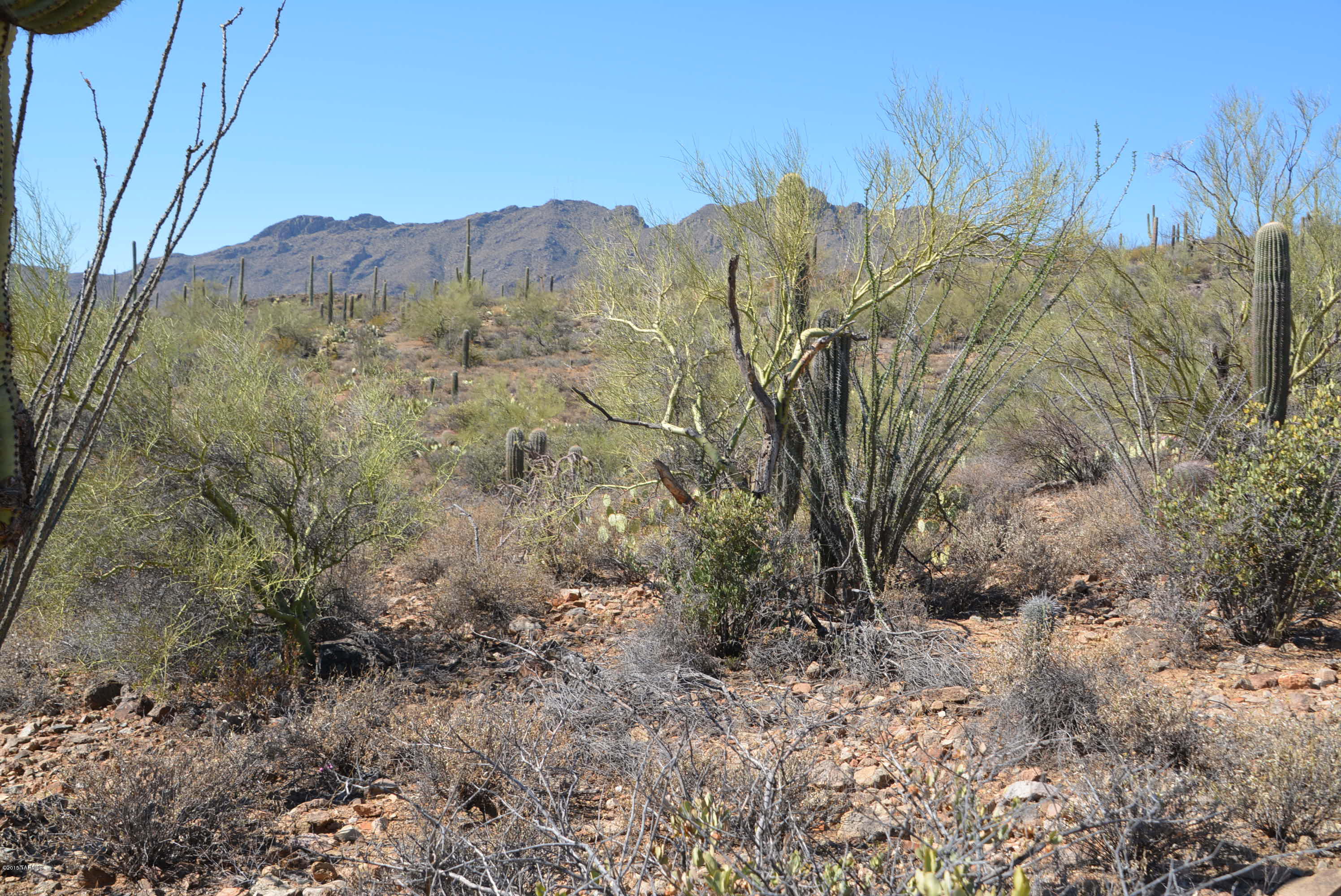 0 Broken Spring Tucson, AZ 85745 - Photo 18 of 24