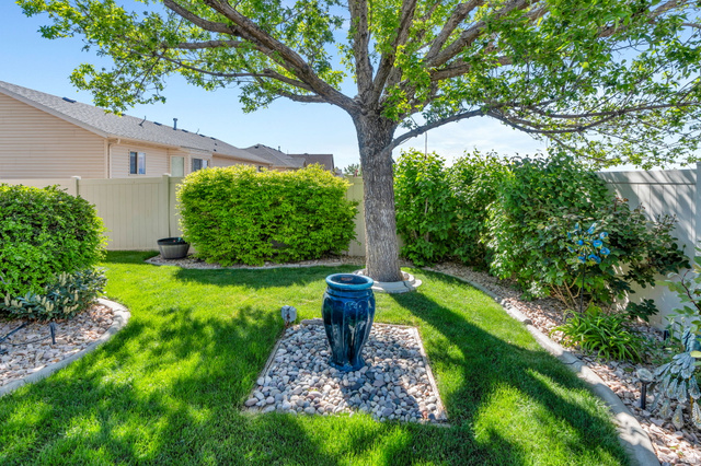 1602 Renaissance Way Springville, UT 84663 - Photo 35 of 42 View of yard