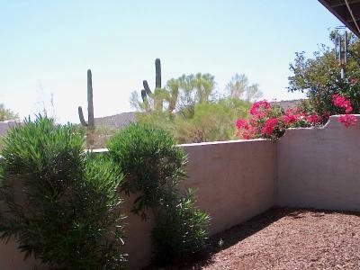 7488 East Wandering Road Tucson, AZ 85750 - Photo 2 of 5 Gallery Image 2