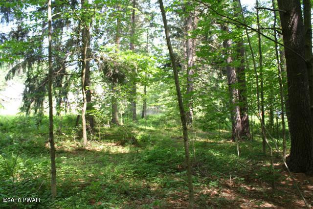 Peggy Runway Rd Beach Lake Beach Lake, PA 18405 - Photo 1 of 1
