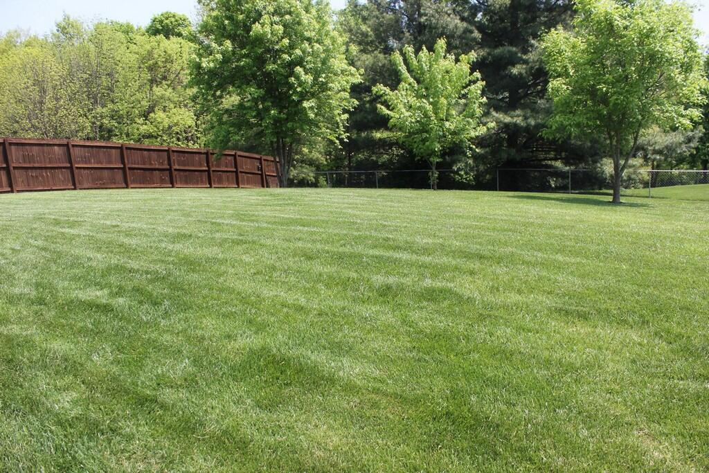 10355 Calvary Road Independence, KY 41051 - Photo 9 of 38 Gallery Image 9