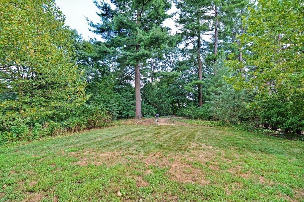 218 Broad Meadow Road Needham, MA 02492 - Photo 39 of 42