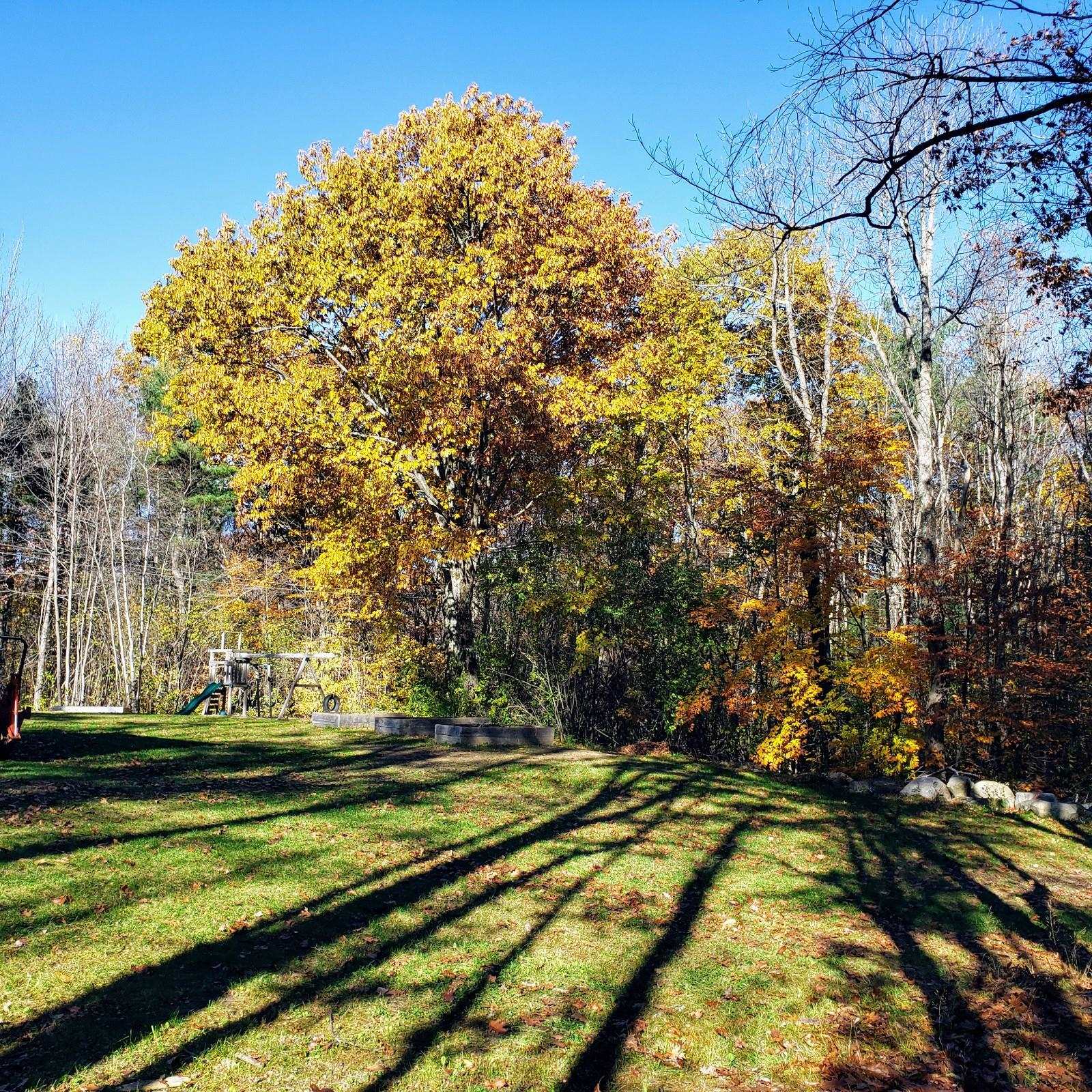 85 Fullam Hill Road Fitzwilliam, NH 03447 - Photo 33 of 38