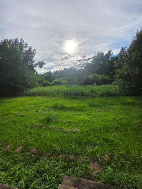 3675 Hazel Godwin Road Jay, FL 32565 - Photo 12 of 42