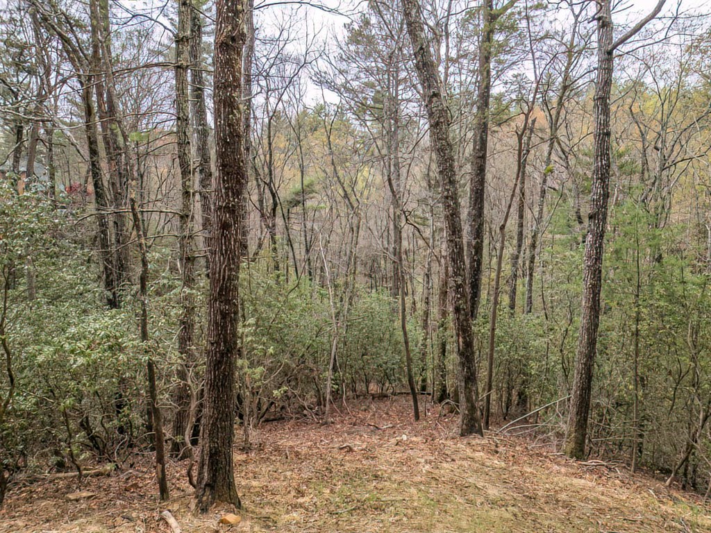 506 Pony Ghost Trail Blue Ridge, GA 30513 - Photo 49 of 62