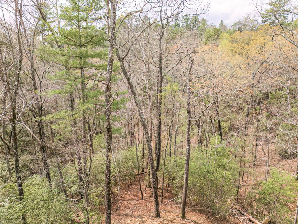 506 Pony Ghost Trail Blue Ridge, GA 30513 - Photo 60 of 62