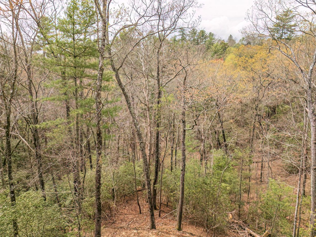 506 Pony Ghost Trail Blue Ridge, GA 30513 - Photo 61 of 62