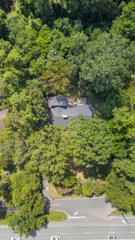 a view of a garden with a bench