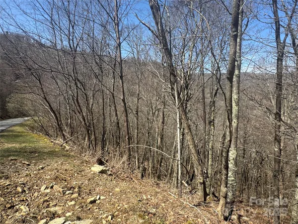 $69,900 | 53-55 Running Cedar Drive, Mars Hill, NC 28754