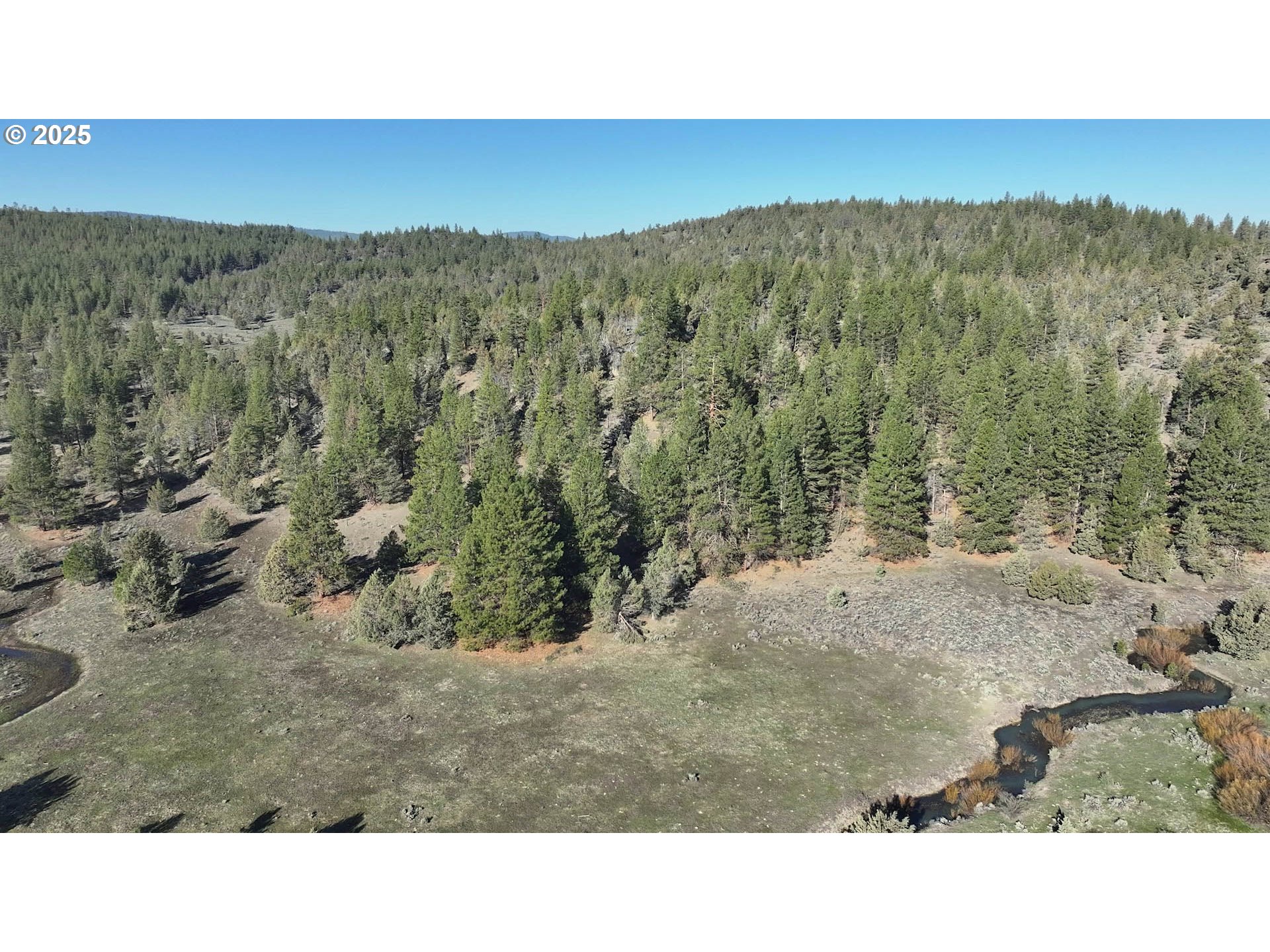 Yellow Jacket Spring Road, Unit L200 Beatty, OR 97621 - Photo 16 of 20 a black and white photo of a field