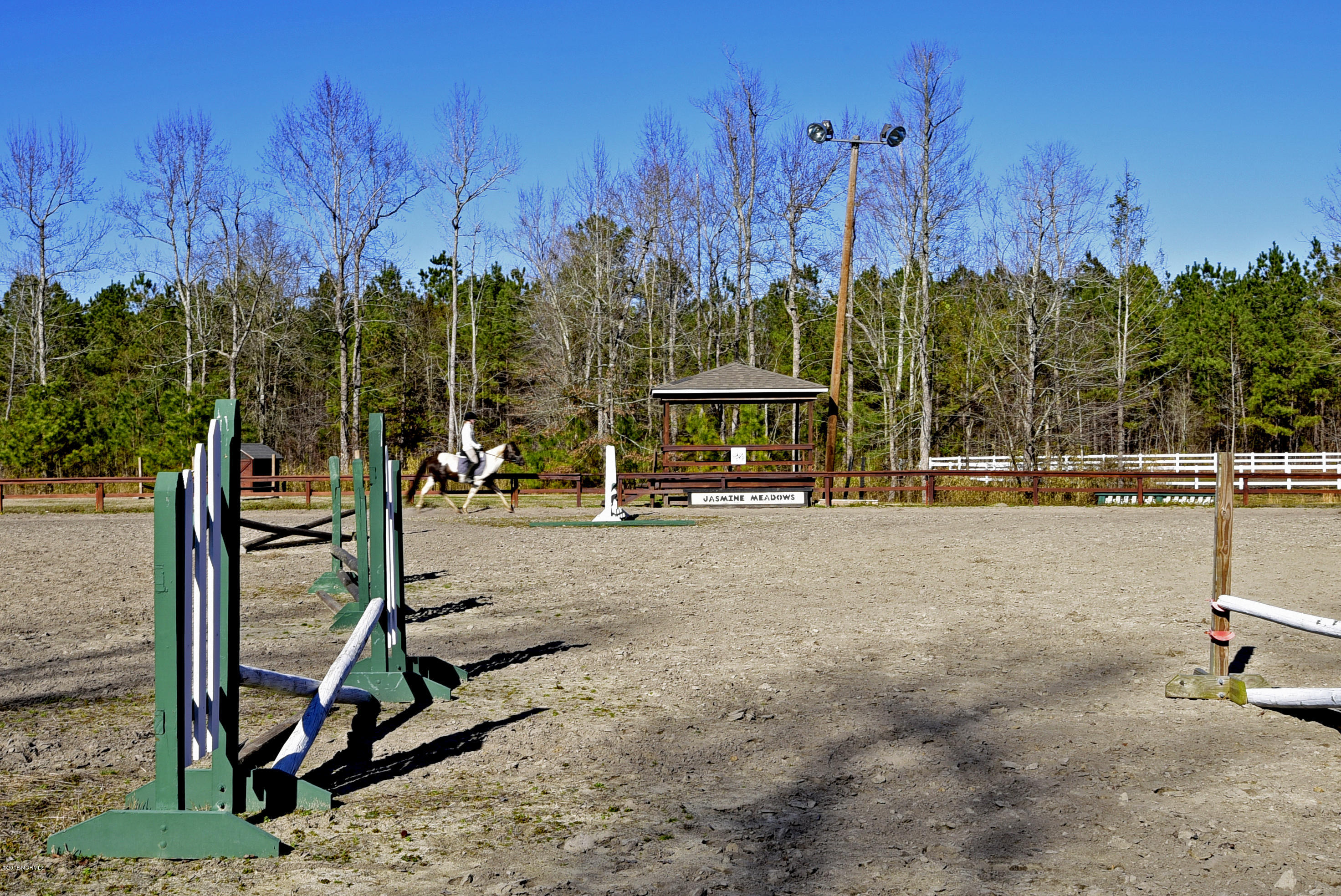 1005 Maul Swamp Road Vanceboro, NC 28586 - Photo 25 of 81 _RAD9824
