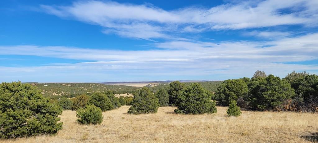 Lot 34 Silver Spur Road Walsenburg, CO 81089 - Photo 22 of 43