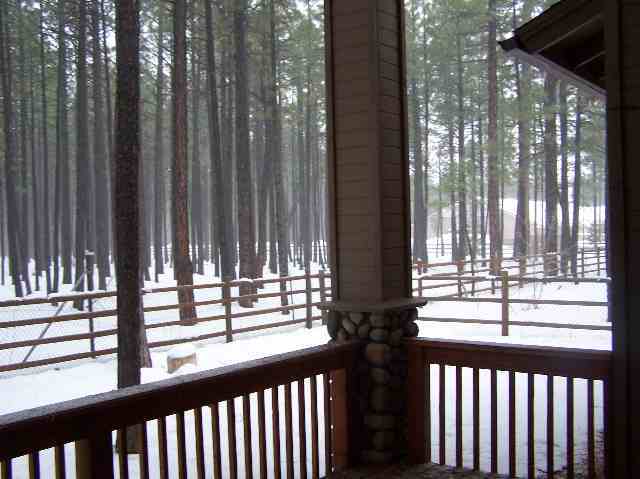 2630 Timber Ridge Lane Pinetop, AZ 85935 - Photo 5 of 5