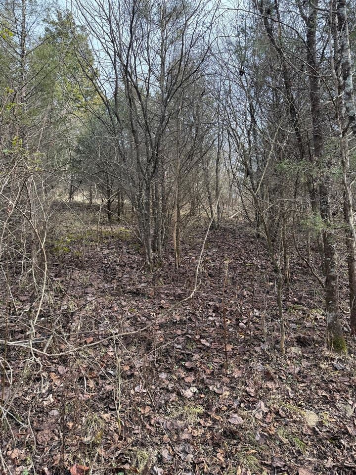 7890 Warsaw Road Dry Ridge, KY 41035 - Photo 7 of 13 Gallery Image 7
