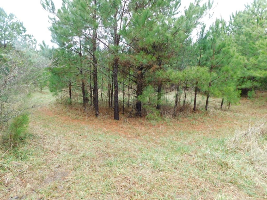 1880 Metasville Road Lincolnton, GA 30817 - Photo 1 of 6 Main View