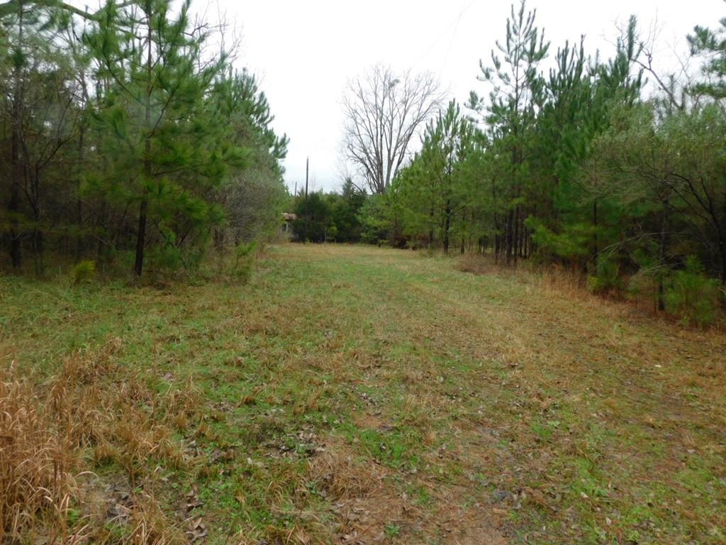 1880 Metasville Road Lincolnton, GA 30817 - Photo 2 of 6