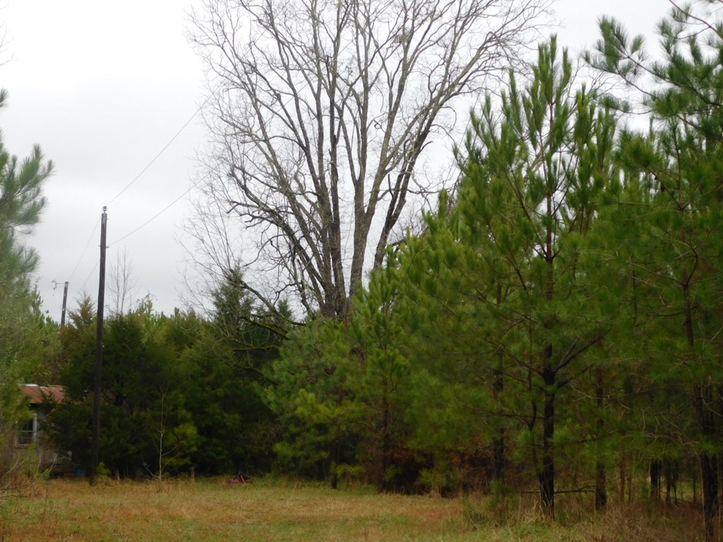 1880 Metasville Road Lincolnton, GA 30817 - Photo 3 of 6