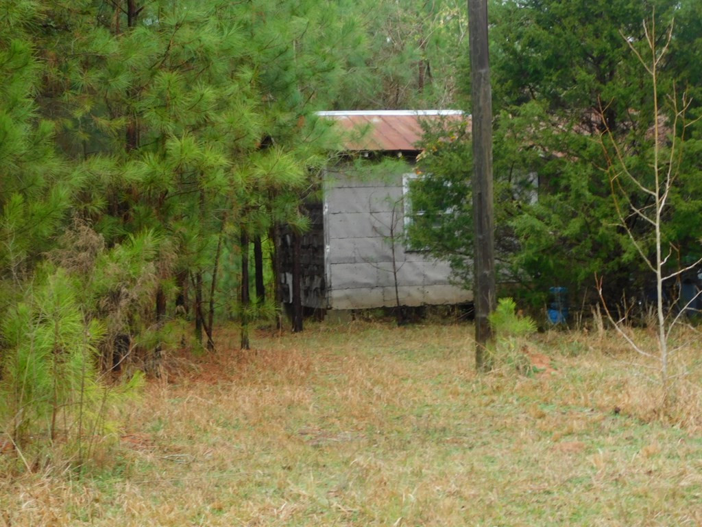 1880 Metasville Road Lincolnton, GA 30817 - Photo 4 of 6