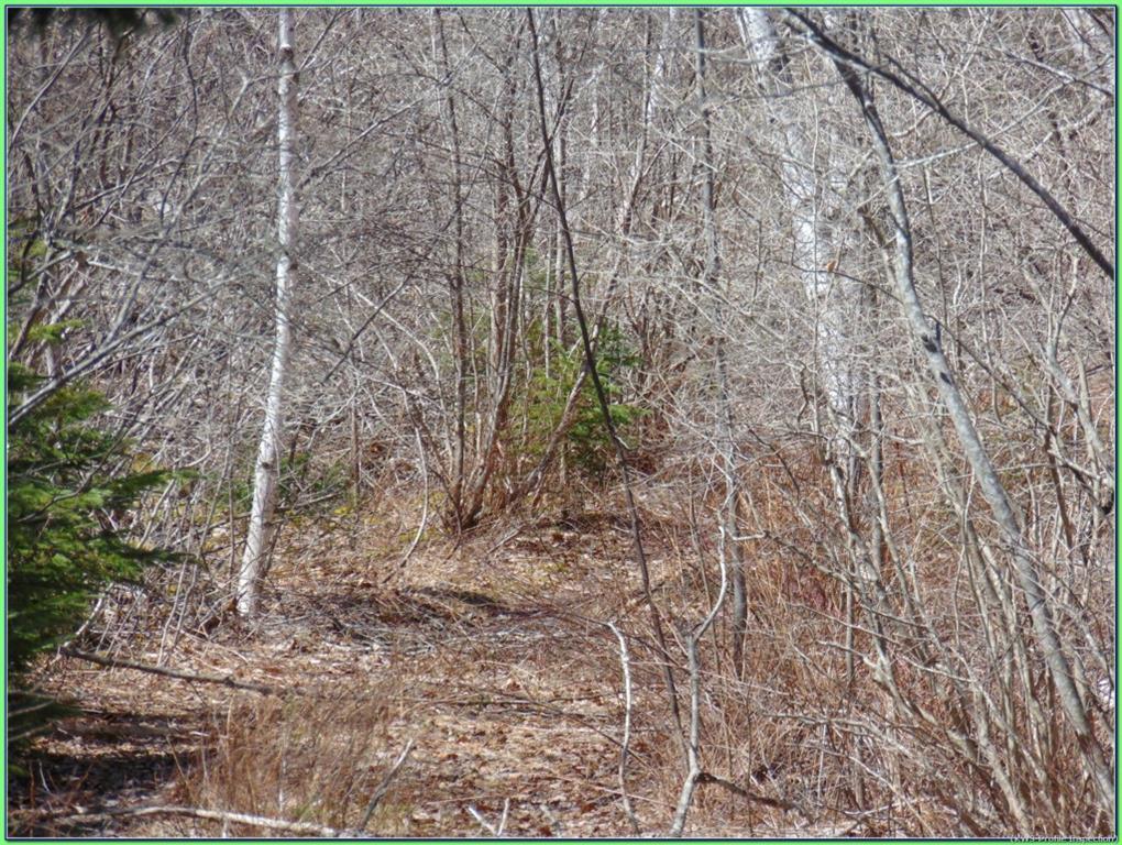 Lot 10-3 Rogers Point Road Steuben, ME 04680 - Photo 13 of 15 interior a