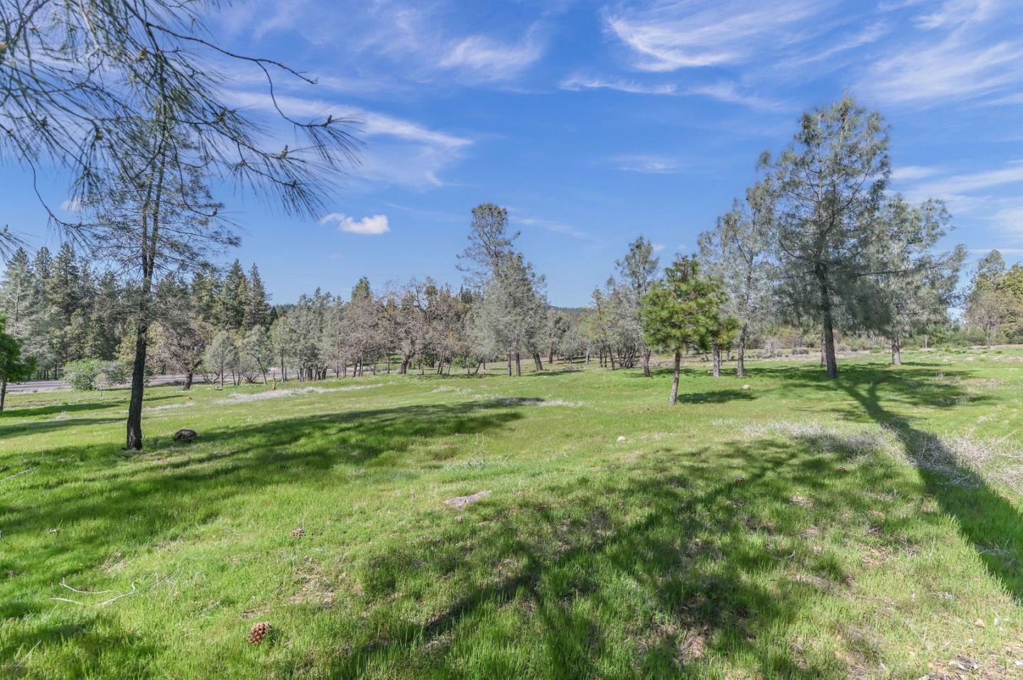 169 Snowberry Court Murphys, CA 95247 - Photo 59 of 61